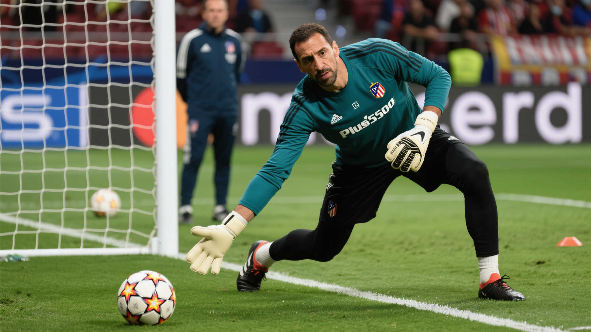 率上得到了 率上得到了